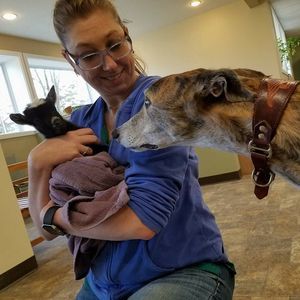 Meet your Posher, Laura